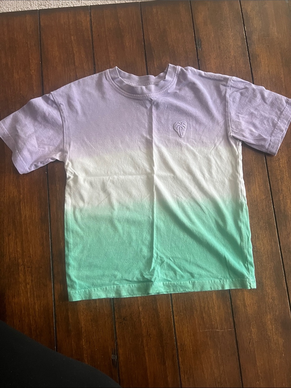 🎉🎉 5 for $20🎉🎉Kids Ombre’ Crew Neck T‑Shirt in Lilac, White & Mint
